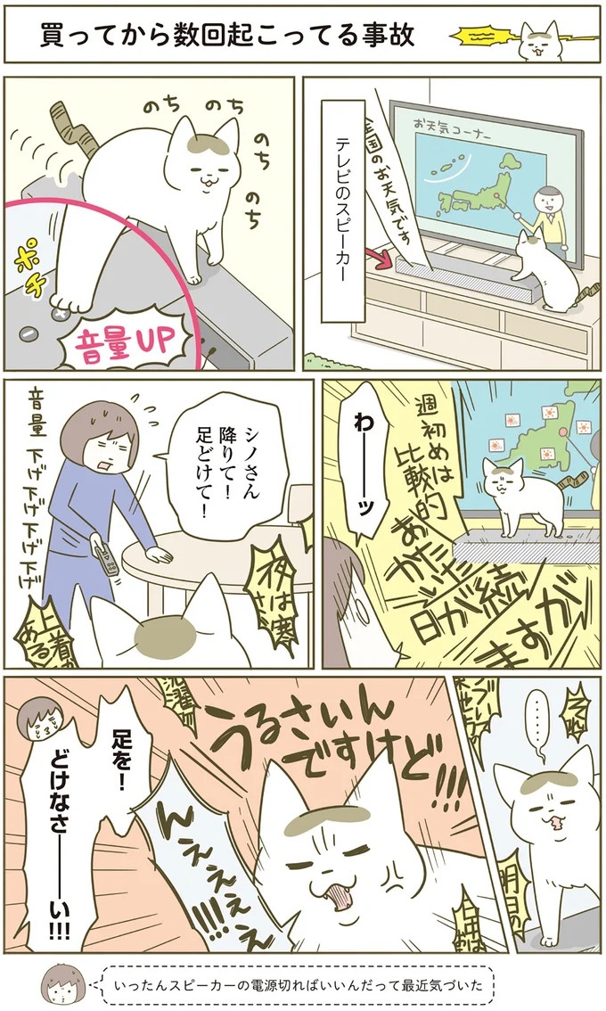 猫は、「無言なのにうるさい」。視界の端でちょっかいを出してきて…／うちの猫がまた変なことしてる。3（画像87/89枚目）