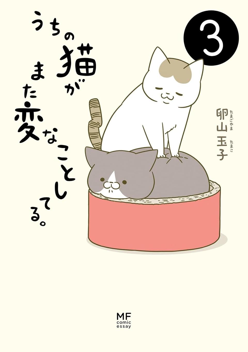 猫は、「無言なのにうるさい」。視界の端でちょっかいを出してきて…／うちの猫がまた変なことしてる。3（画像89/89枚目）