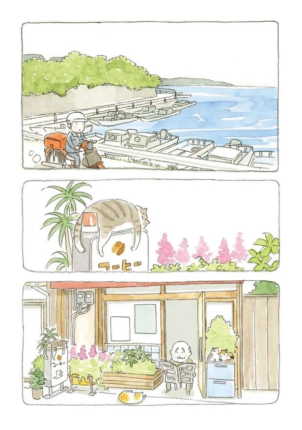 至る所でくつろぐ猫たち。ここは、じーちゃんとばーちゃんと猫の町／ねことじいちゃん（画像6/184枚目）
