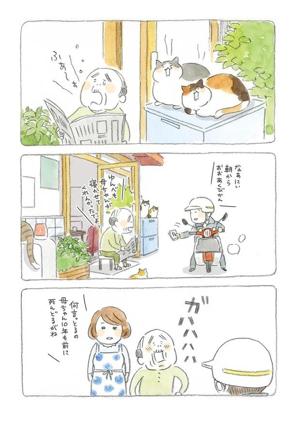 至る所でくつろぐ猫たち。ここは、じーちゃんとばーちゃんと猫の町／ねことじいちゃん（画像7/184枚目）