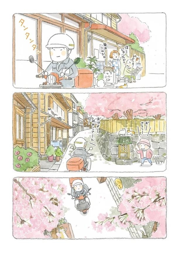 至る所でくつろぐ猫たち。ここは、じーちゃんとばーちゃんと猫の町／ねことじいちゃん（画像8/184枚目）