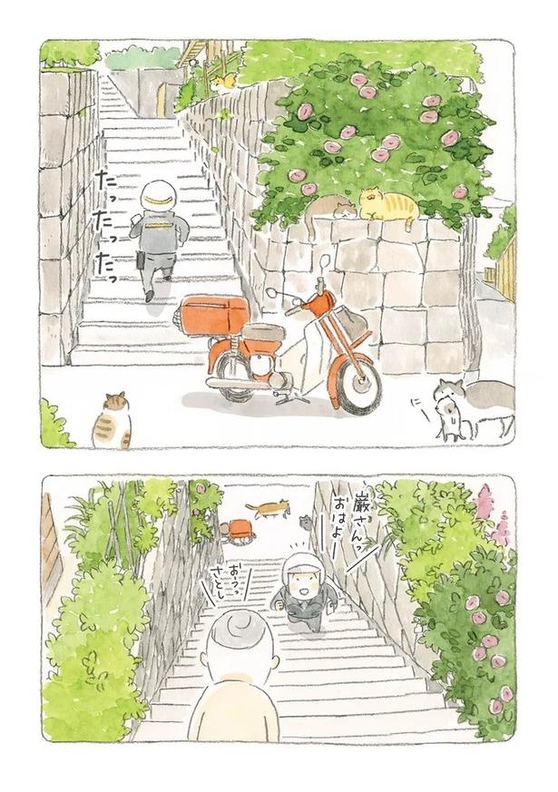 至る所でくつろぐ猫たち。ここは、じーちゃんとばーちゃんと猫の町／ねことじいちゃん（画像9/184枚目）