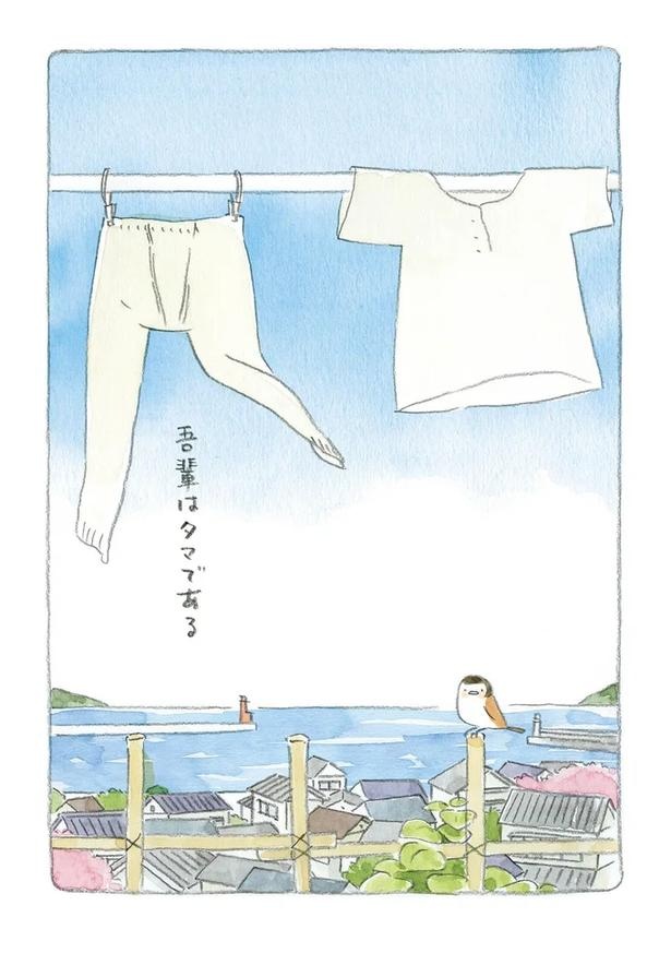 至る所でくつろぐ猫たち。ここは、じーちゃんとばーちゃんと猫の町／ねことじいちゃん（画像12/184枚目）