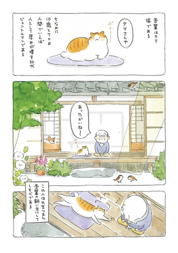 至る所でくつろぐ猫たち。ここは、じーちゃんとばーちゃんと猫の町／ねことじいちゃん（画像14/184枚目）