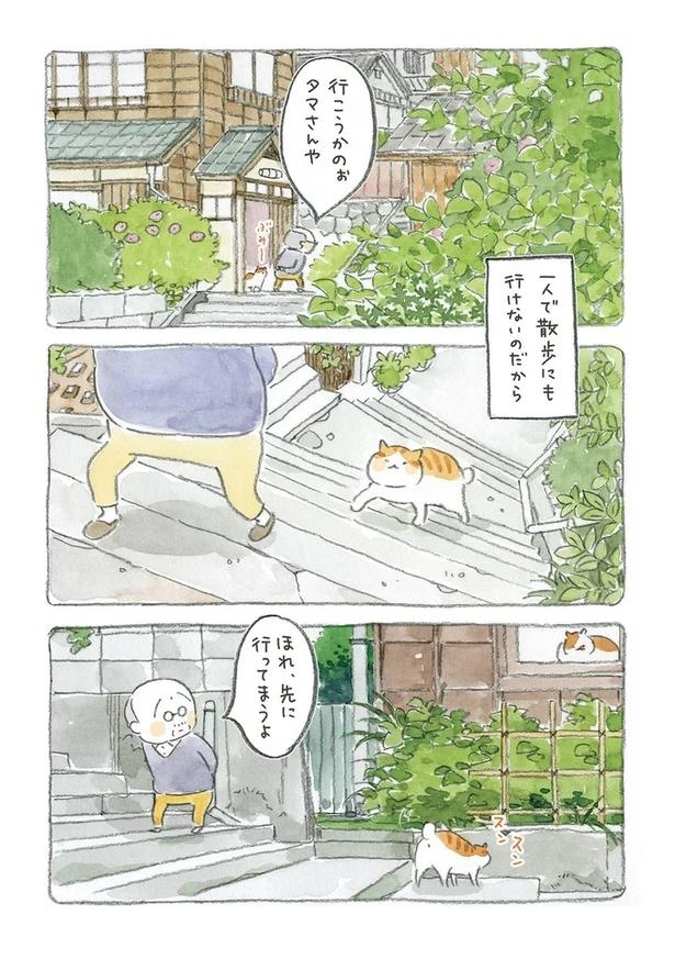 至る所でくつろぐ猫たち。ここは、じーちゃんとばーちゃんと猫の町／ねことじいちゃん（画像17/184枚目）