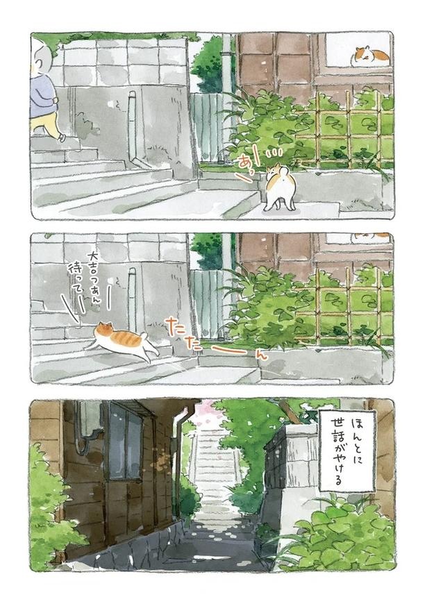 至る所でくつろぐ猫たち。ここは、じーちゃんとばーちゃんと猫の町／ねことじいちゃん（画像18/184枚目）