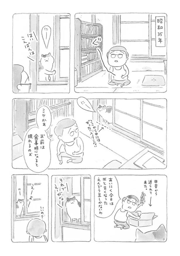 至る所でくつろぐ猫たち。ここは、じーちゃんとばーちゃんと猫の町／ねことじいちゃん（画像26/184枚目）