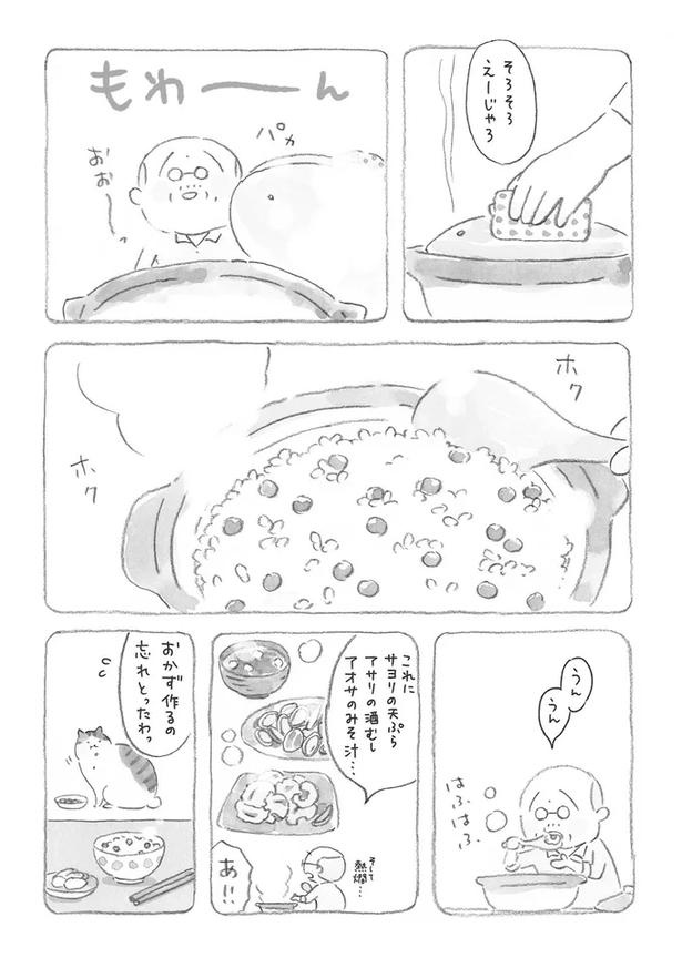 至る所でくつろぐ猫たち。ここは、じーちゃんとばーちゃんと猫の町／ねことじいちゃん（画像31/184枚目）
