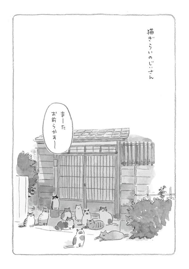至る所でくつろぐ猫たち。ここは、じーちゃんとばーちゃんと猫の町／ねことじいちゃん（画像32/184枚目）
