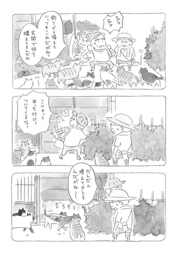 至る所でくつろぐ猫たち。ここは、じーちゃんとばーちゃんと猫の町／ねことじいちゃん（画像33/184枚目）