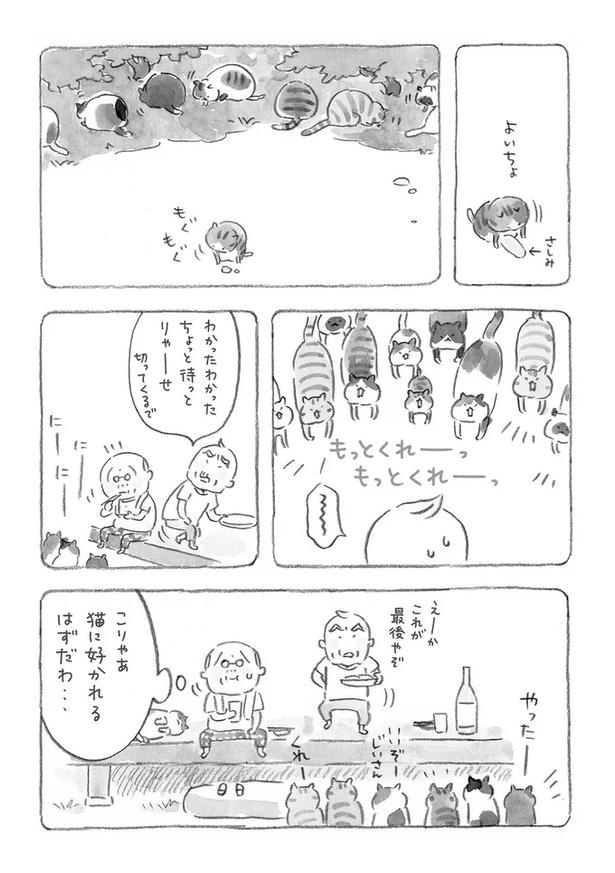 至る所でくつろぐ猫たち。ここは、じーちゃんとばーちゃんと猫の町／ねことじいちゃん（画像41/184枚目）
