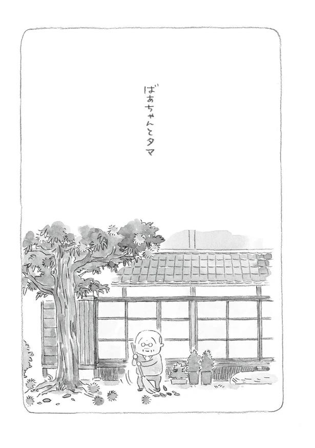 至る所でくつろぐ猫たち。ここは、じーちゃんとばーちゃんと猫の町／ねことじいちゃん（画像42/184枚目）