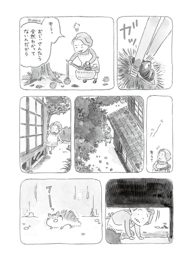 至る所でくつろぐ猫たち。ここは、じーちゃんとばーちゃんと猫の町／ねことじいちゃん（画像46/184枚目）