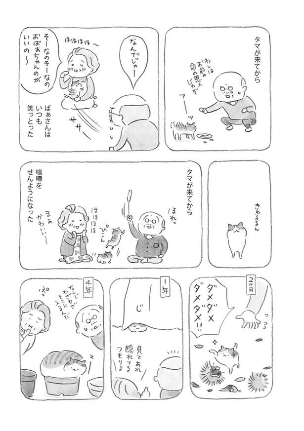 至る所でくつろぐ猫たち。ここは、じーちゃんとばーちゃんと猫の町／ねことじいちゃん（画像49/184枚目）
