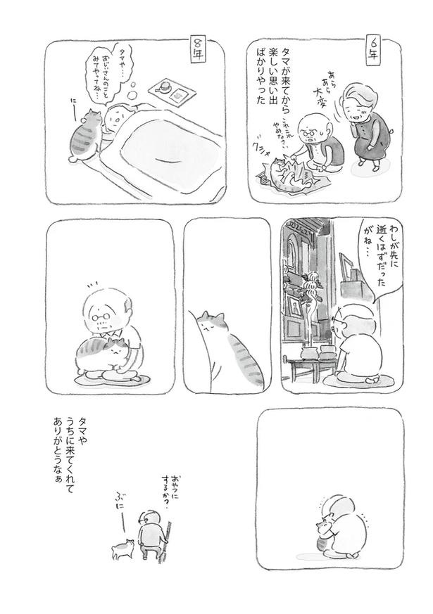 至る所でくつろぐ猫たち。ここは、じーちゃんとばーちゃんと猫の町／ねことじいちゃん（画像51/184枚目）