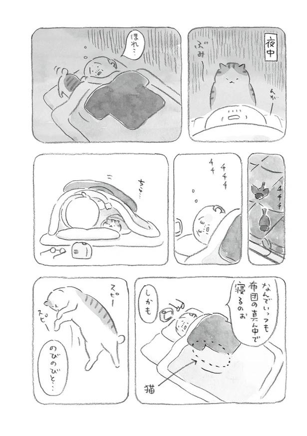 至る所でくつろぐ猫たち。ここは、じーちゃんとばーちゃんと猫の町／ねことじいちゃん（画像53/184枚目）