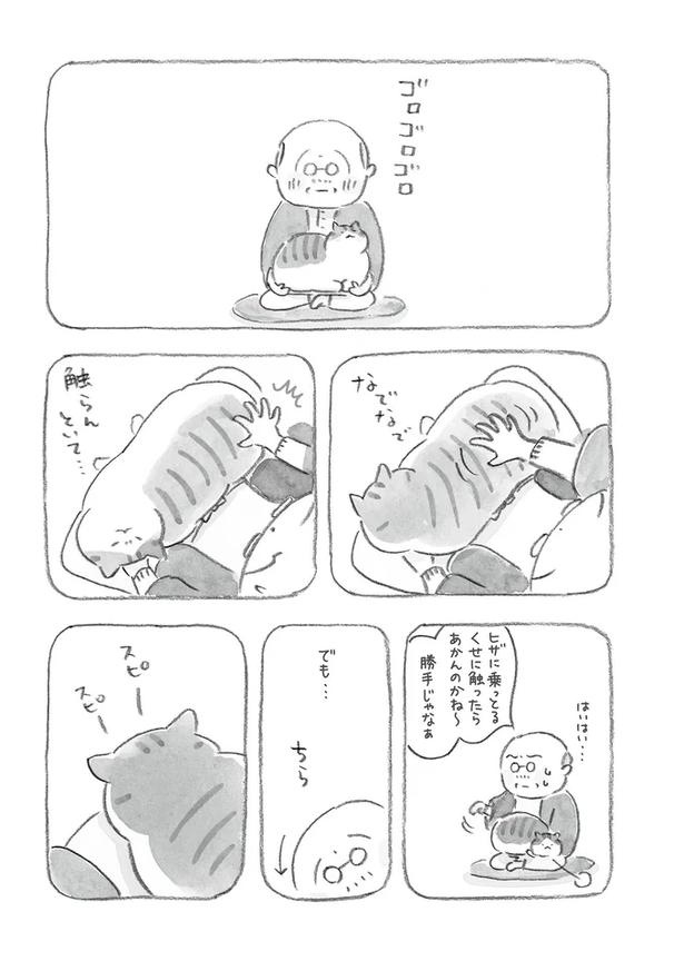至る所でくつろぐ猫たち。ここは、じーちゃんとばーちゃんと猫の町／ねことじいちゃん（画像57/184枚目）