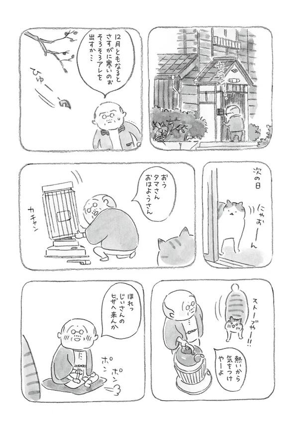 至る所でくつろぐ猫たち。ここは、じーちゃんとばーちゃんと猫の町／ねことじいちゃん（画像59/184枚目）