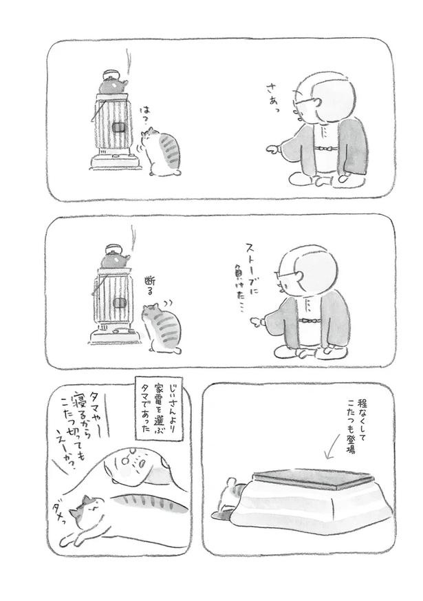 至る所でくつろぐ猫たち。ここは、じーちゃんとばーちゃんと猫の町／ねことじいちゃん（画像61/184枚目）