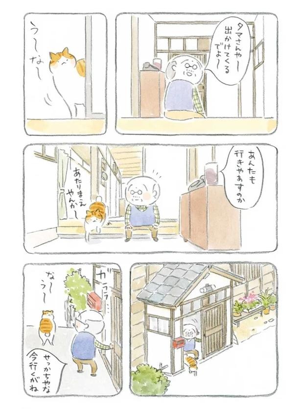 至る所でくつろぐ猫たち。ここは、じーちゃんとばーちゃんと猫の町／ねことじいちゃん（画像68/184枚目）