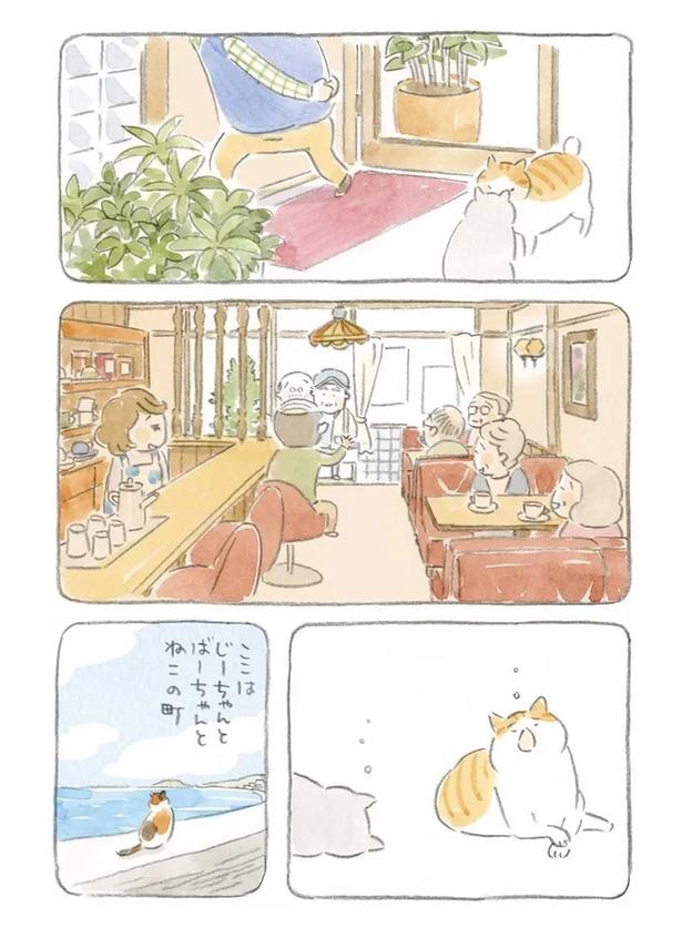 至る所でくつろぐ猫たち。ここは、じーちゃんとばーちゃんと猫の町／ねことじいちゃん（画像72/184枚目）