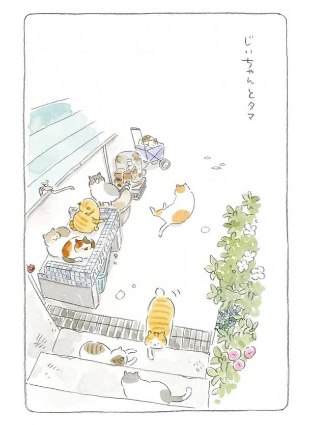 至る所でくつろぐ猫たち。ここは、じーちゃんとばーちゃんと猫の町／ねことじいちゃん（画像73/184枚目）
