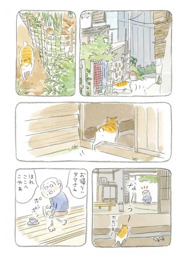 至る所でくつろぐ猫たち。ここは、じーちゃんとばーちゃんと猫の町／ねことじいちゃん（画像77/184枚目）