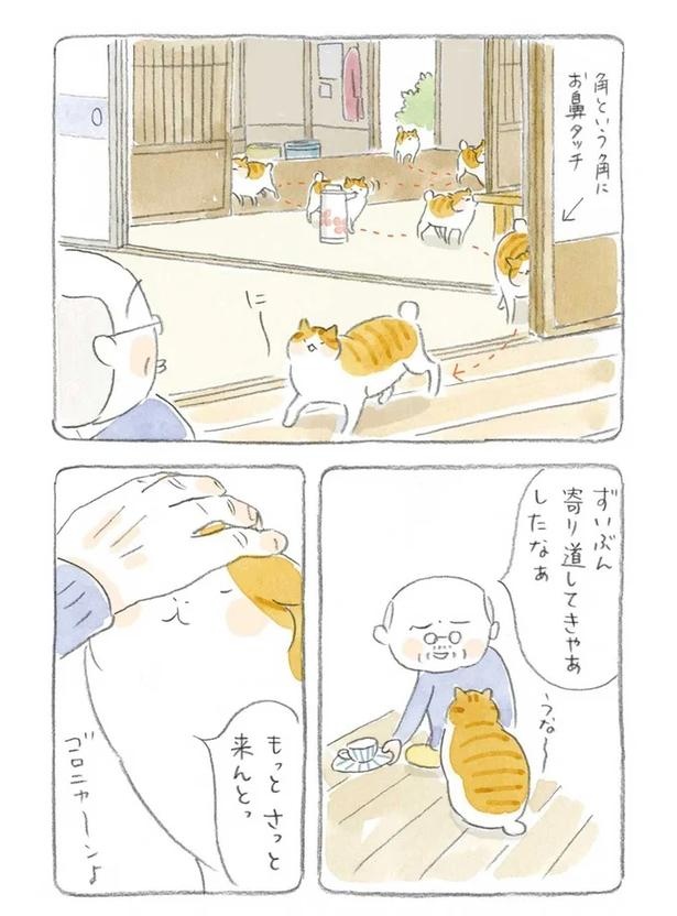 至る所でくつろぐ猫たち。ここは、じーちゃんとばーちゃんと猫の町／ねことじいちゃん（画像78/184枚目）