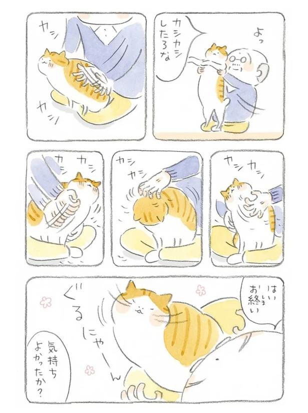 至る所でくつろぐ猫たち。ここは、じーちゃんとばーちゃんと猫の町／ねことじいちゃん（画像79/184枚目）