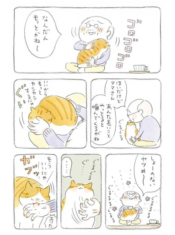 至る所でくつろぐ猫たち。ここは、じーちゃんとばーちゃんと猫の町／ねことじいちゃん（画像81/184枚目）
