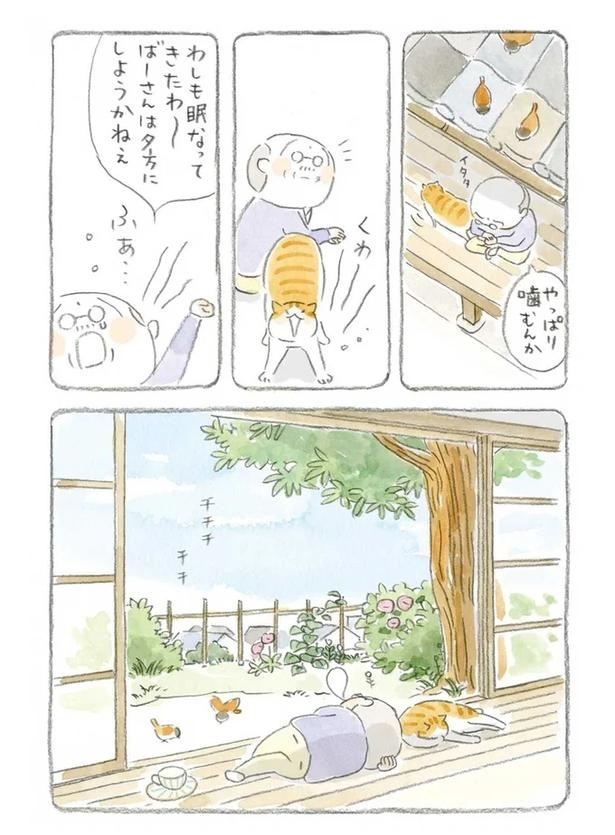 至る所でくつろぐ猫たち。ここは、じーちゃんとばーちゃんと猫の町／ねことじいちゃん（画像82/184枚目）