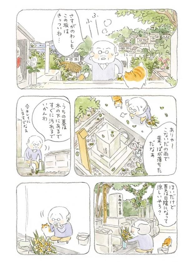 至る所でくつろぐ猫たち。ここは、じーちゃんとばーちゃんと猫の町／ねことじいちゃん（画像84/184枚目）