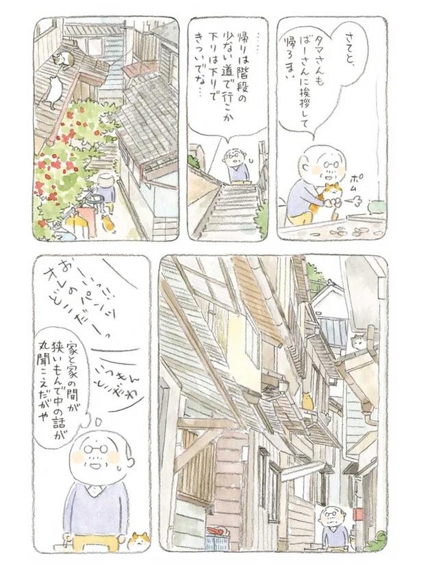 至る所でくつろぐ猫たち。ここは、じーちゃんとばーちゃんと猫の町／ねことじいちゃん（画像86/184枚目）