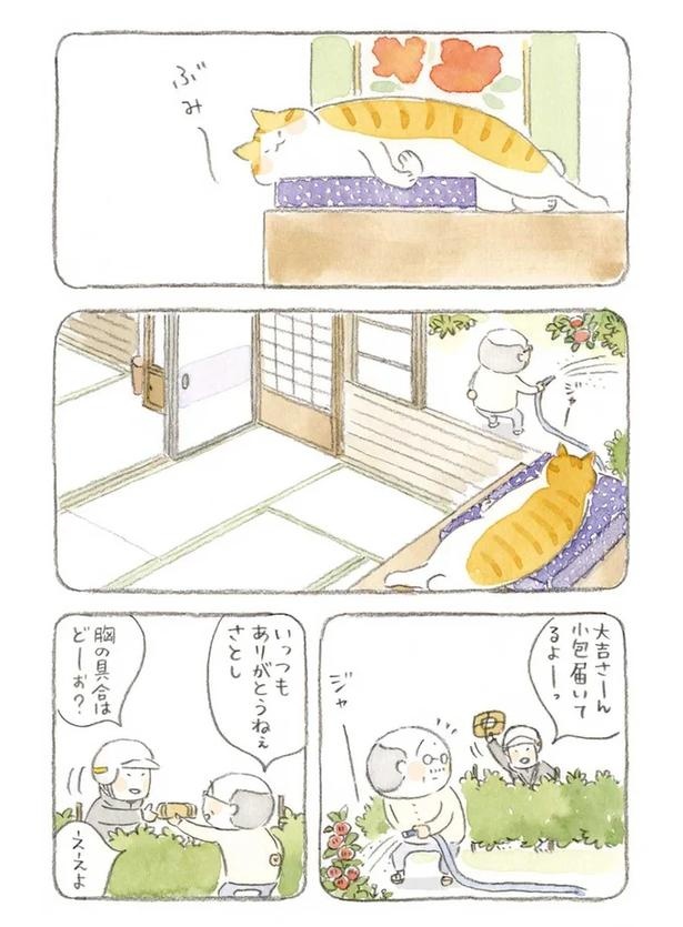至る所でくつろぐ猫たち。ここは、じーちゃんとばーちゃんと猫の町／ねことじいちゃん（画像94/184枚目）