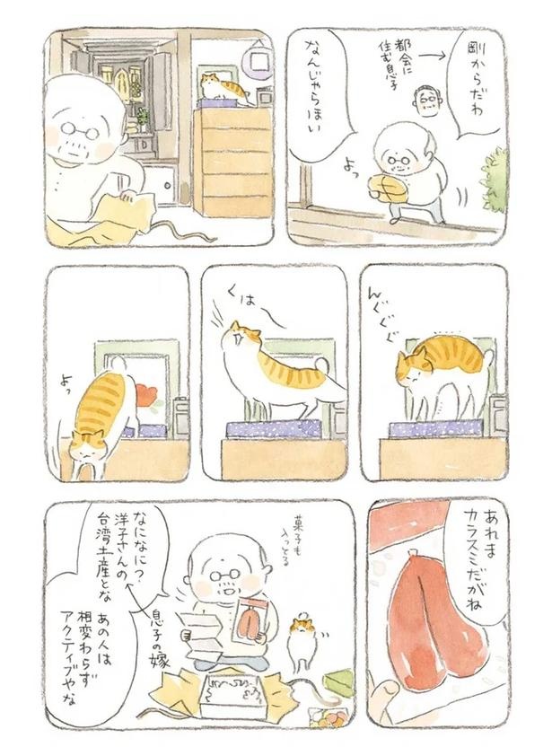 至る所でくつろぐ猫たち。ここは、じーちゃんとばーちゃんと猫の町／ねことじいちゃん（画像96/184枚目）