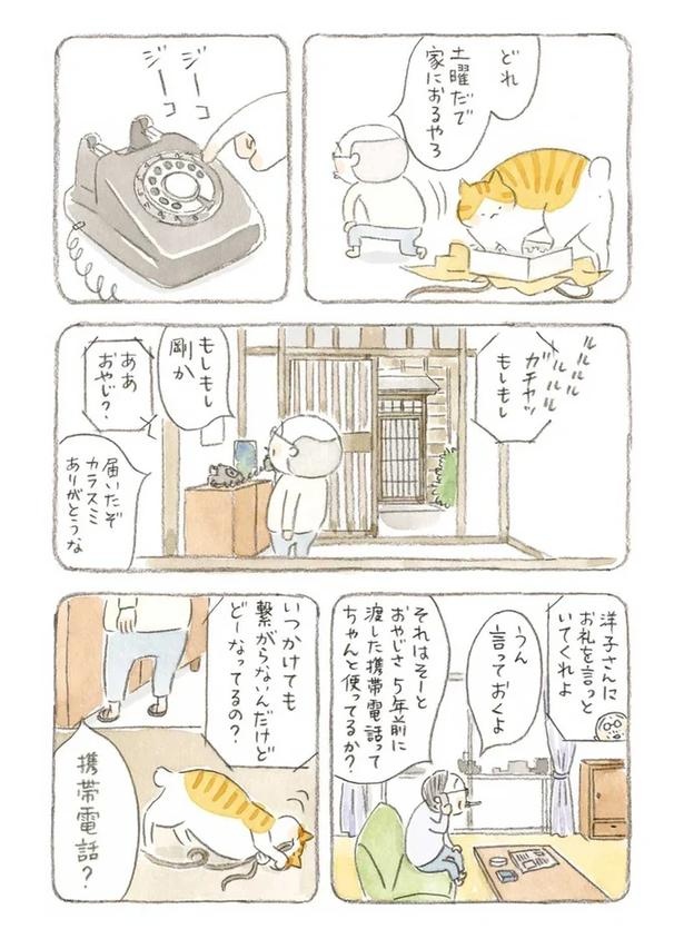 至る所でくつろぐ猫たち。ここは、じーちゃんとばーちゃんと猫の町／ねことじいちゃん（画像97/184枚目）