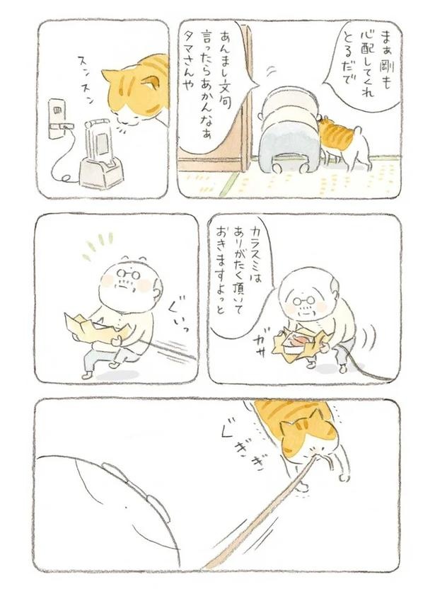 至る所でくつろぐ猫たち。ここは、じーちゃんとばーちゃんと猫の町／ねことじいちゃん（画像101/184枚目）