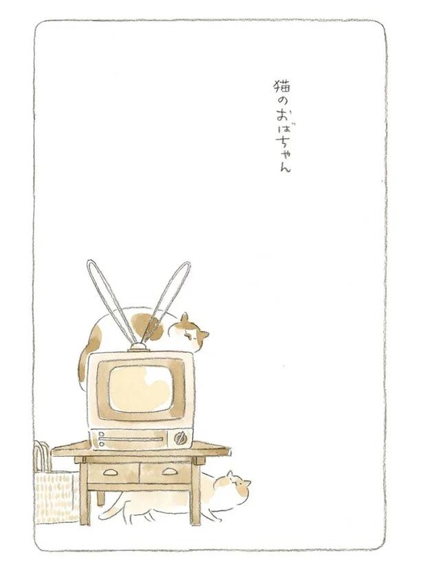 至る所でくつろぐ猫たち。ここは、じーちゃんとばーちゃんと猫の町／ねことじいちゃん（画像113/184枚目）