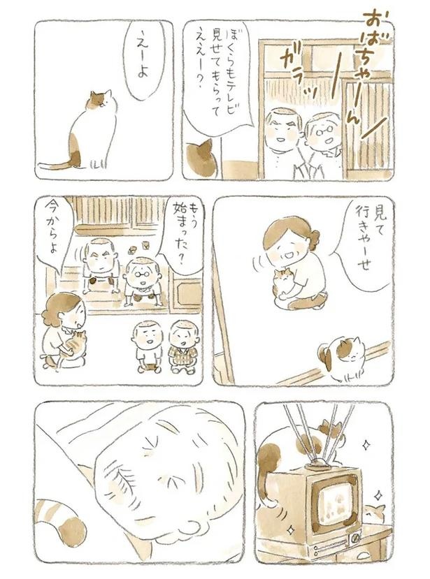 至る所でくつろぐ猫たち。ここは、じーちゃんとばーちゃんと猫の町／ねことじいちゃん（画像116/184枚目）