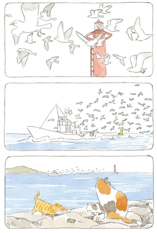 至る所でくつろぐ猫たち。ここは、じーちゃんとばーちゃんと猫の町／ねことじいちゃん（画像126/184枚目）