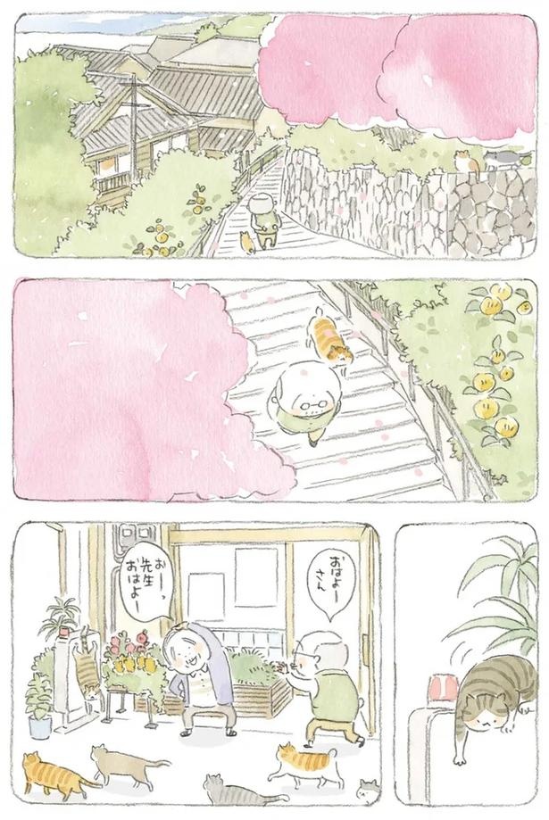 至る所でくつろぐ猫たち。ここは、じーちゃんとばーちゃんと猫の町／ねことじいちゃん（画像127/184枚目）