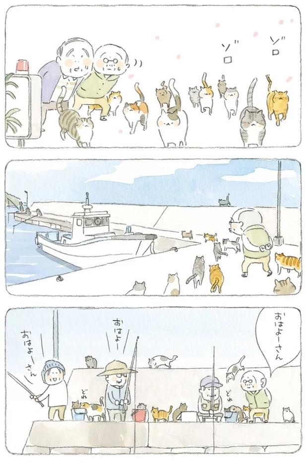 至る所でくつろぐ猫たち。ここは、じーちゃんとばーちゃんと猫の町／ねことじいちゃん（画像128/184枚目）