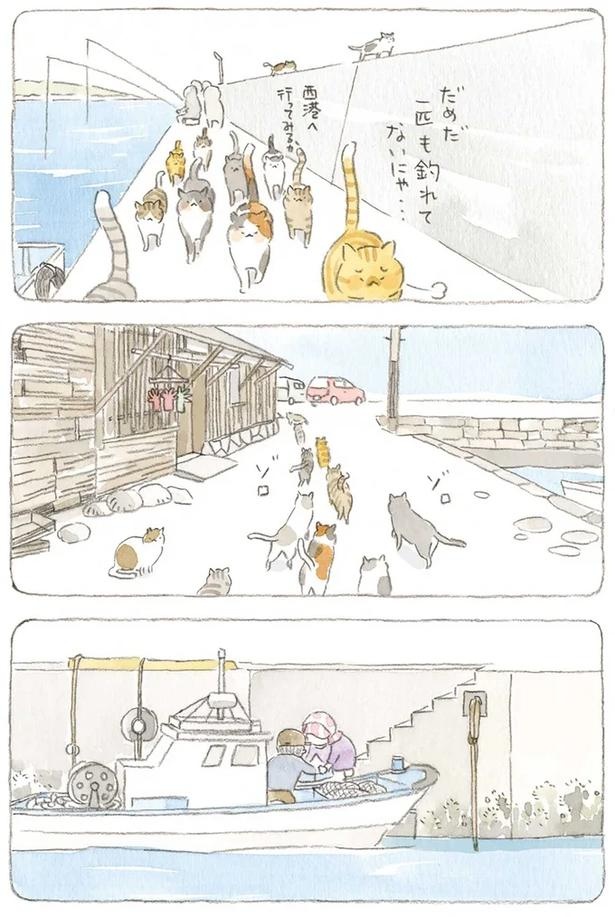 至る所でくつろぐ猫たち。ここは、じーちゃんとばーちゃんと猫の町／ねことじいちゃん（画像129/184枚目）