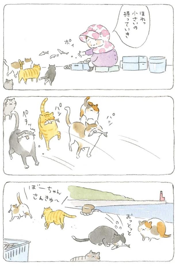 至る所でくつろぐ猫たち。ここは、じーちゃんとばーちゃんと猫の町／ねことじいちゃん（画像132/184枚目）