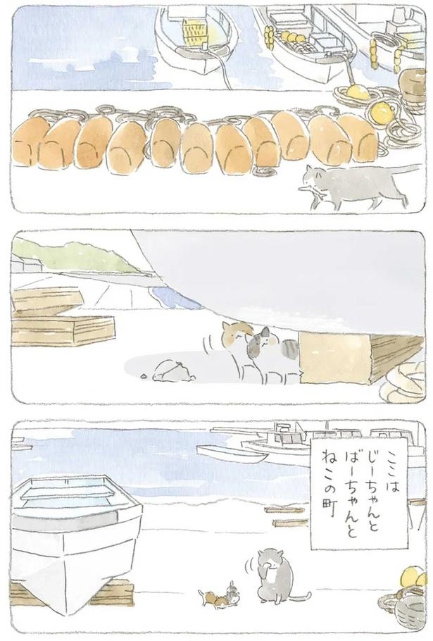 至る所でくつろぐ猫たち。ここは、じーちゃんとばーちゃんと猫の町／ねことじいちゃん（画像133/184枚目）