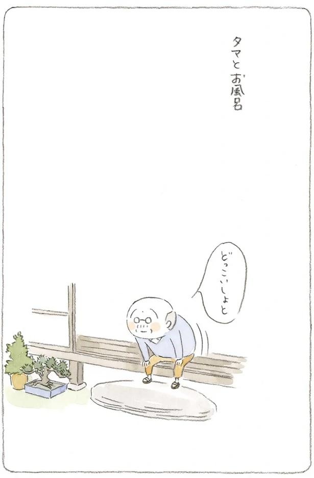 至る所でくつろぐ猫たち。ここは、じーちゃんとばーちゃんと猫の町／ねことじいちゃん（画像134/184枚目）