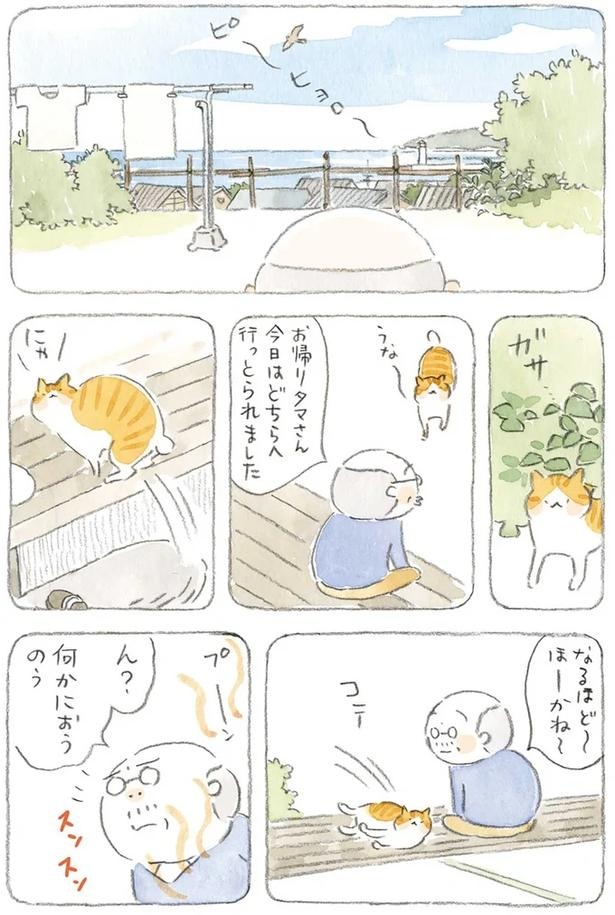 至る所でくつろぐ猫たち。ここは、じーちゃんとばーちゃんと猫の町／ねことじいちゃん（画像136/184枚目）