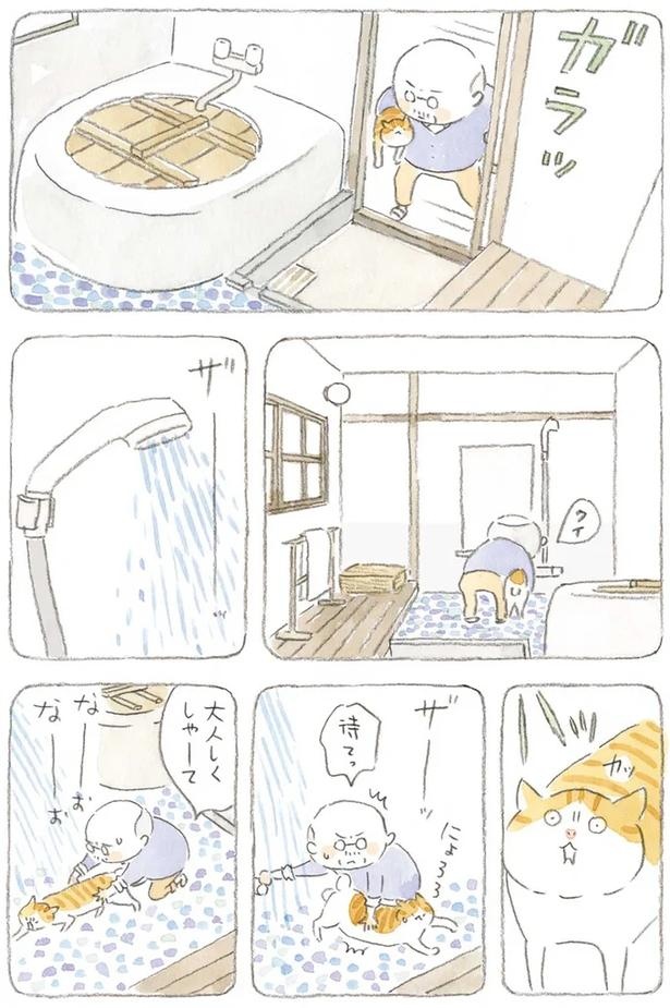 至る所でくつろぐ猫たち。ここは、じーちゃんとばーちゃんと猫の町／ねことじいちゃん（画像138/184枚目）