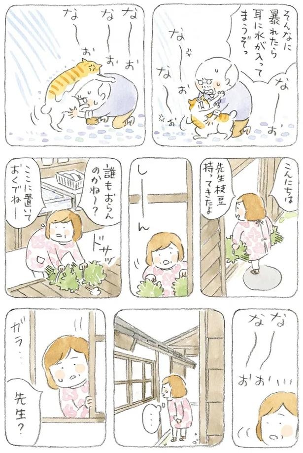至る所でくつろぐ猫たち。ここは、じーちゃんとばーちゃんと猫の町／ねことじいちゃん（画像139/184枚目）