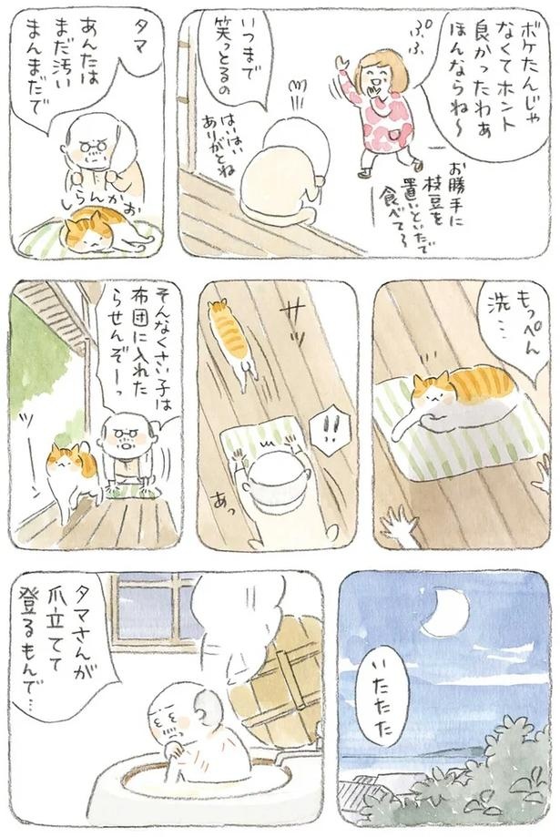 至る所でくつろぐ猫たち。ここは、じーちゃんとばーちゃんと猫の町／ねことじいちゃん（画像142/184枚目）